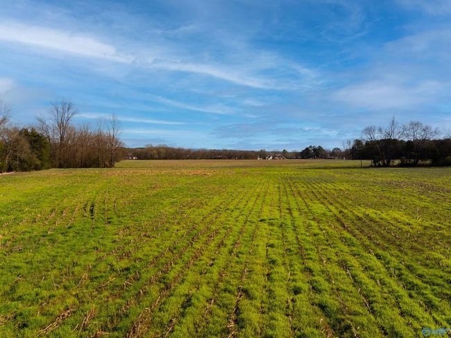 50 Acres Hurt St, Home with 0 bedrooms, 0 bathrooms and null parking in Hollywood AL | Image 10