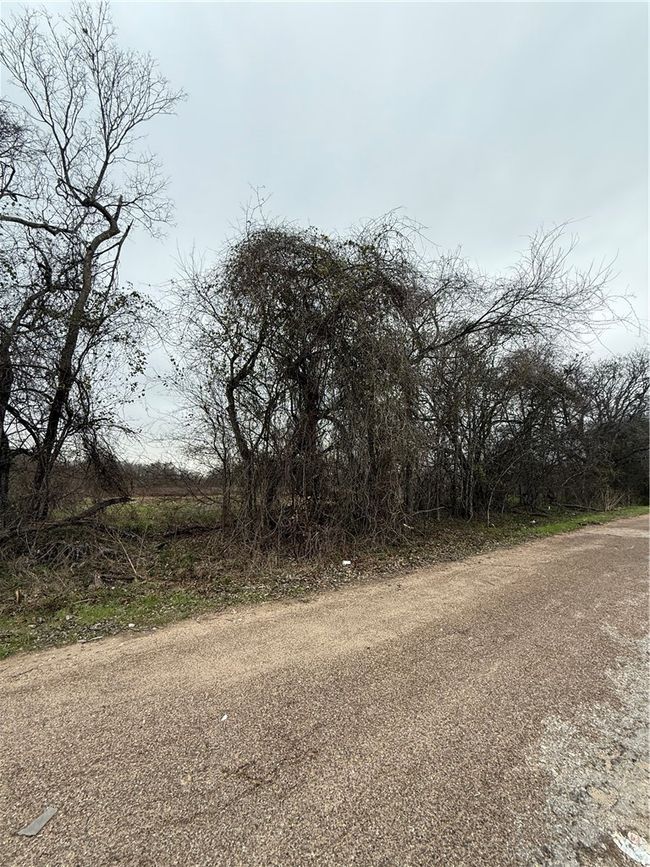 View of road | Image 5