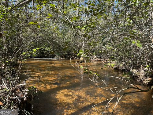 0 Mount Sinai Church Rd, BUTLER, GA, 31006 | Card Image