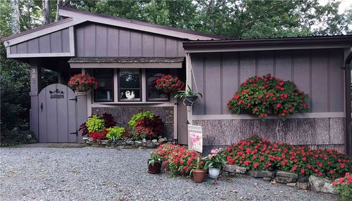 203 Black Pine Rd, Newland, NC, 28657 | Card Image