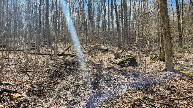TRACT-1-PIKE-LAKE-GETAWA - 0 Pike Lake Rd, Home with 0 bedrooms, 0 bathrooms and null parking in Bainbridge OH | Image 34