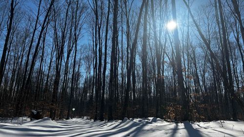 8845 B-5 Reynolds, Almira Township, MI, 49684 | Card Image