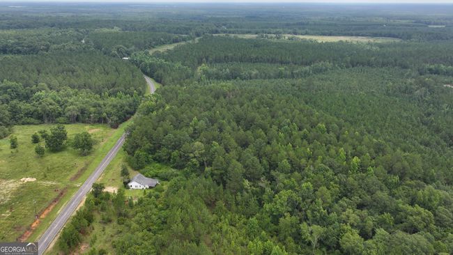 0 Boiling Springs Rd, Home with 0 bedrooms, 0 bathrooms and null parking in Soperton GA | Image 9