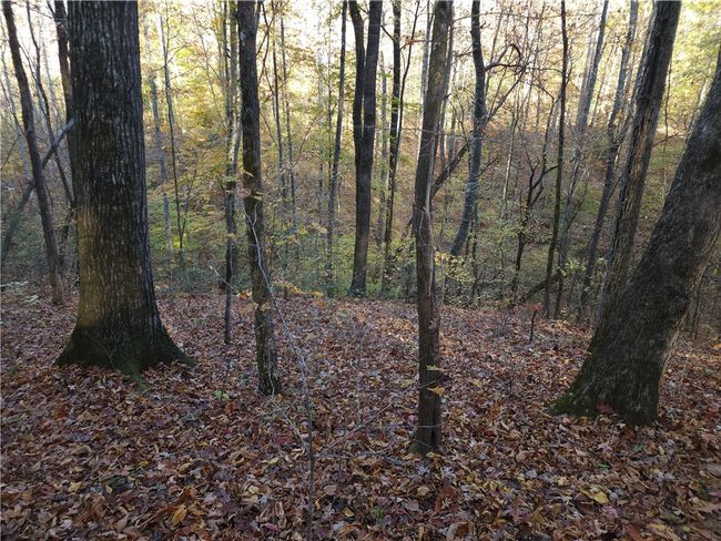 00 N Ridge Dr, Home with 0 bedrooms, 0 bathrooms and null parking in Travelers Rest SC | Image 8