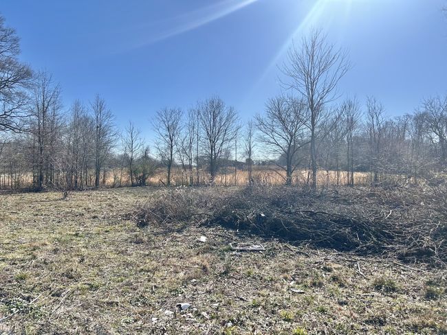 2410 Asbury Rd, Home with 0 bedrooms, 0 bathrooms and null parking in Manchester TN | Image 7