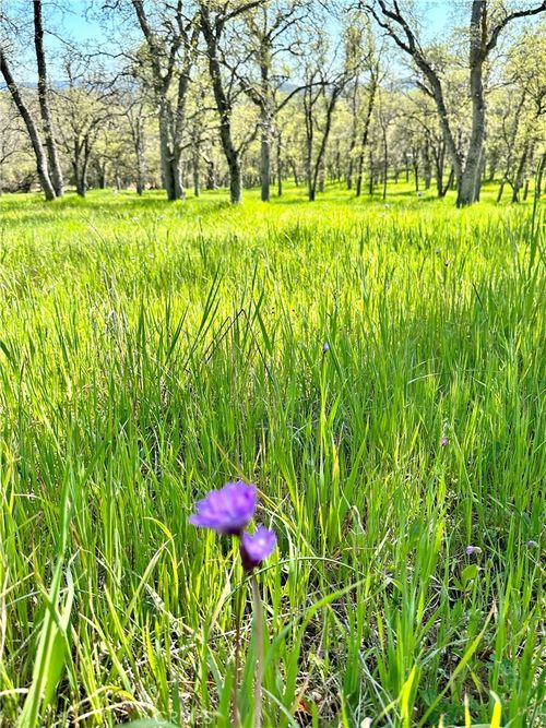 18461 Old Wards Ferry Road, Sonora, CA, 95370 | Card Image