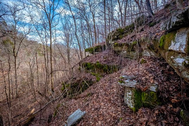 00 Bear Skin Dr, Home with 0 bedrooms, 0 bathrooms and null parking in Harriet AR | Image 10