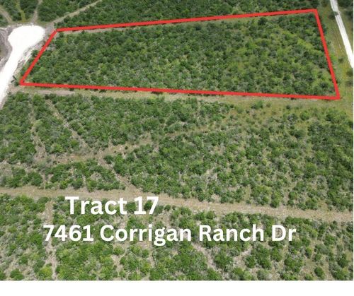 7460 Corrigan Ranch- Tract 17 Road, Skidmore, TX, 78389 | Card Image