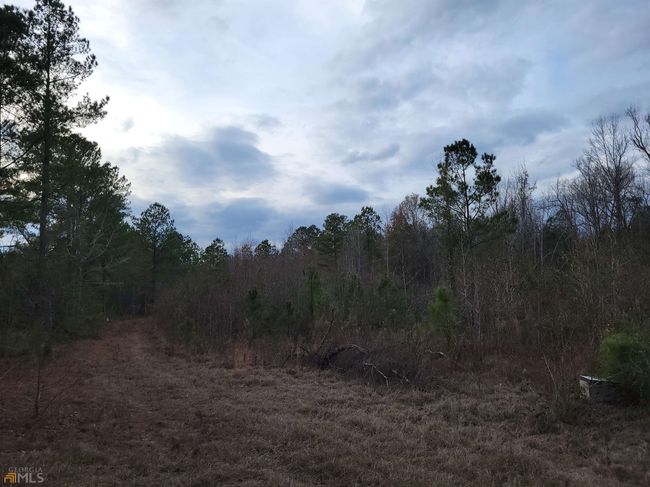 2757 Us Highway 1 N, Home with 0 bedrooms, 0 bathrooms and null parking in swainsboro GA | Image 18
