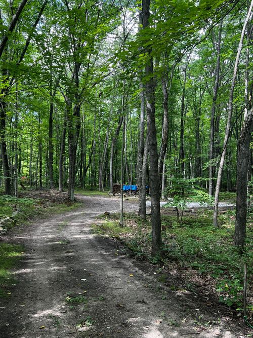 0 Evergreen Lot-165, Lincoln Township, MI, 48622 | Card Image
