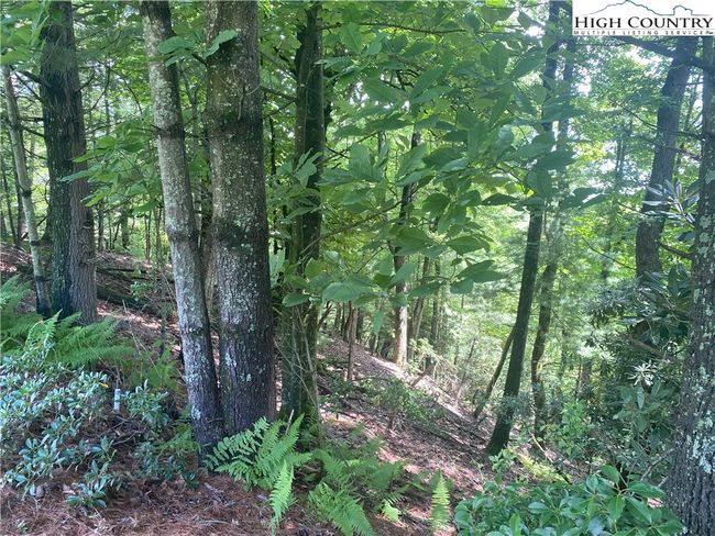 142 - TBD Sunningdale Court, Home with 0 bedrooms, 0 bathrooms and null parking in Roaring Gap NC | Image 6