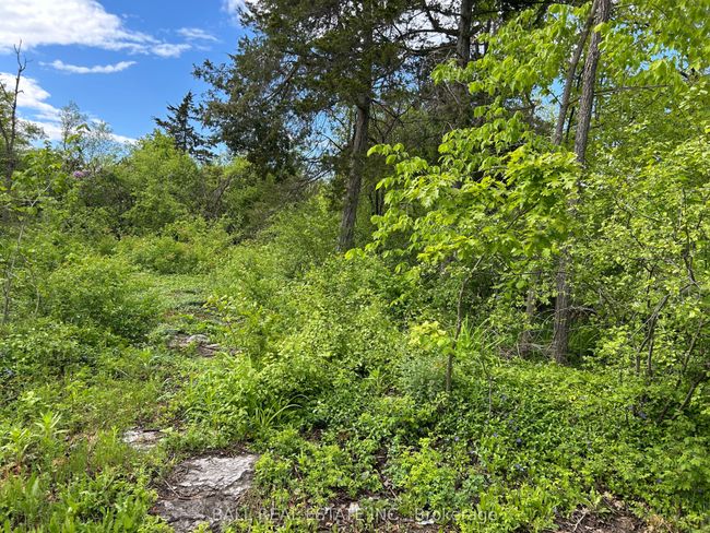 0 Snake Point Rd, Home with 0 bedrooms, 0 bathrooms and null parking in Bobcaygeon ON | Image 5