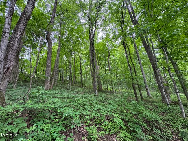 649 Sugar Run Rd, House other with 4 bedrooms, 3 bathrooms and null parking in Jonesville VA | Image 21