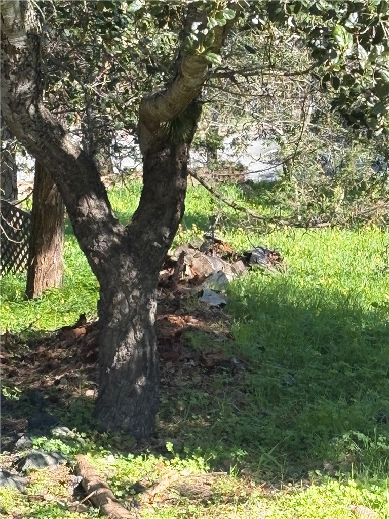 Land in Cambria