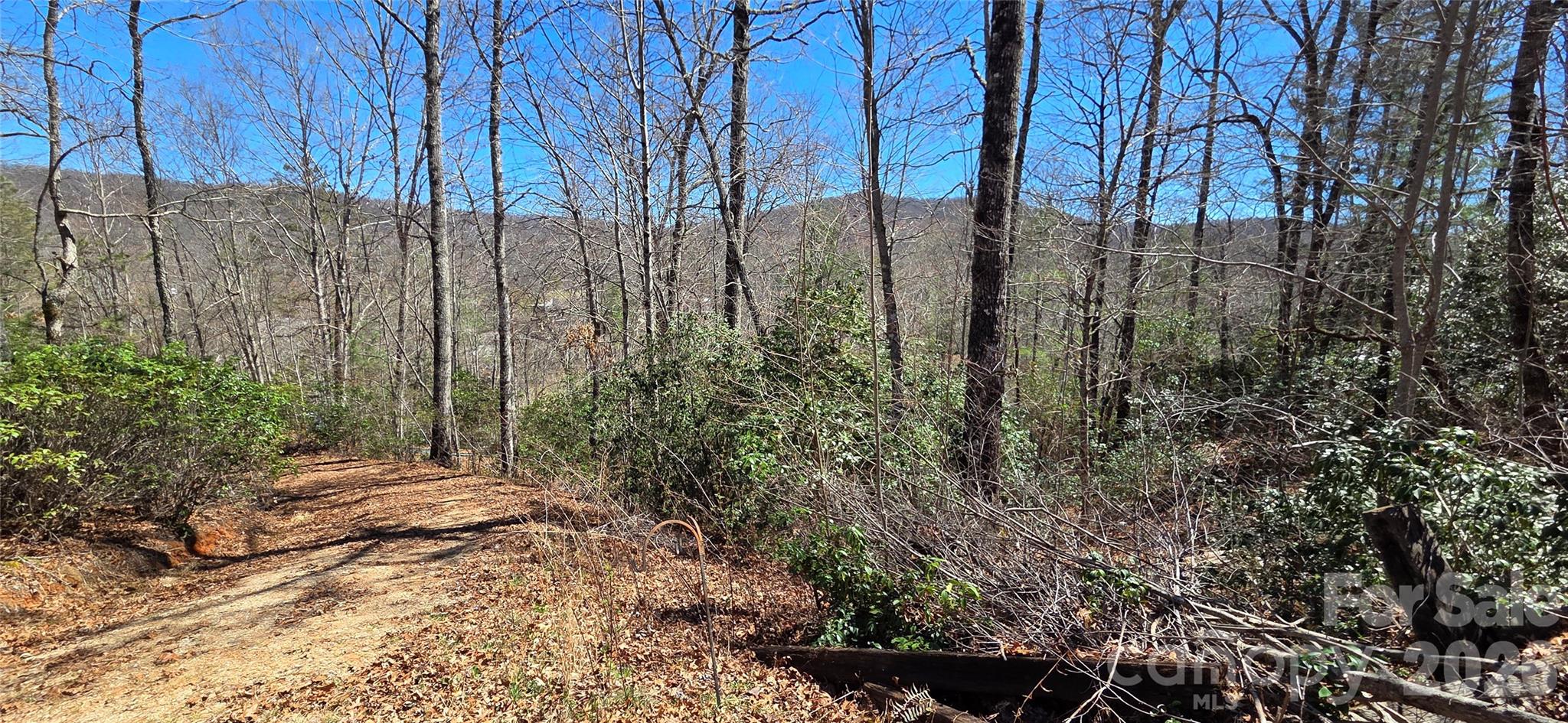 Land in Balsam Grove 2