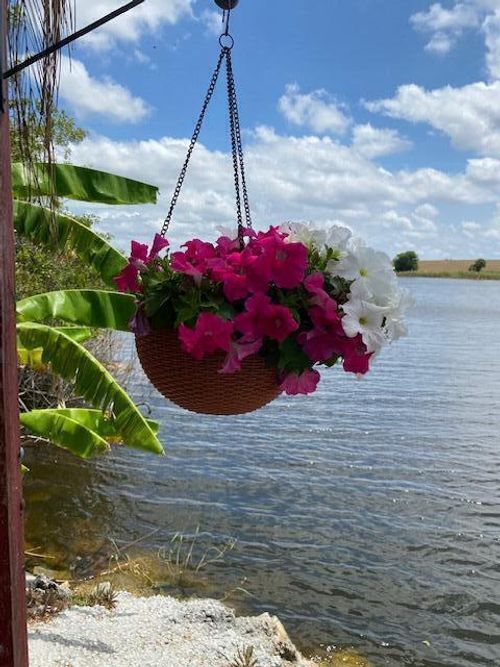 8680 Us Highway 441 Se, Okeechobee, FL, 34974-1495 | Card Image