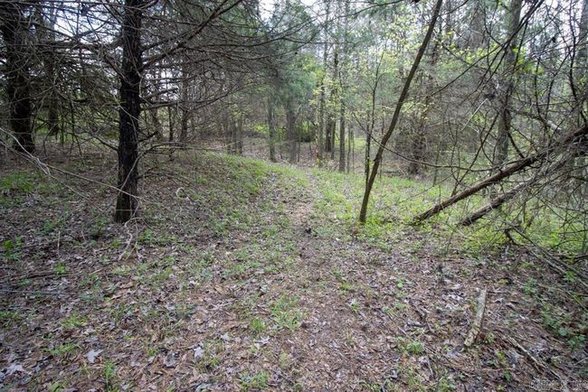 9 County Road 422, Home with 0 bedrooms, 0 bathrooms and null parking in Rector AR | Image 47