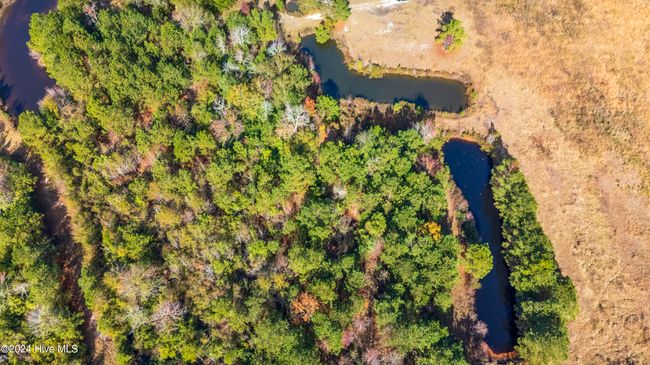 4780 S Us 117 Hwy, Home with 0 bedrooms, 0 bathrooms and null parking in Teachey NC | Image 42