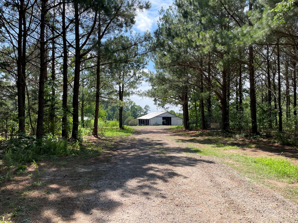 Land in Blackstone 2