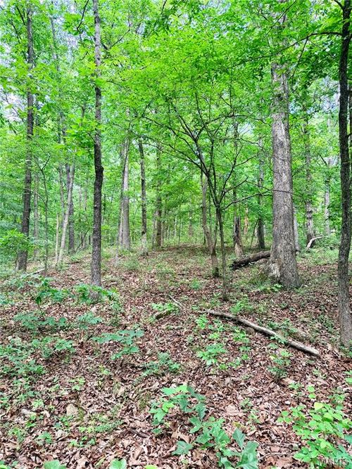 0 County Road 450, Poplar Bluff, MO, 63901 | Card Image