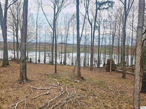 358 Lolley Rd, Downsville, LA, 71234-4110 | Card Image