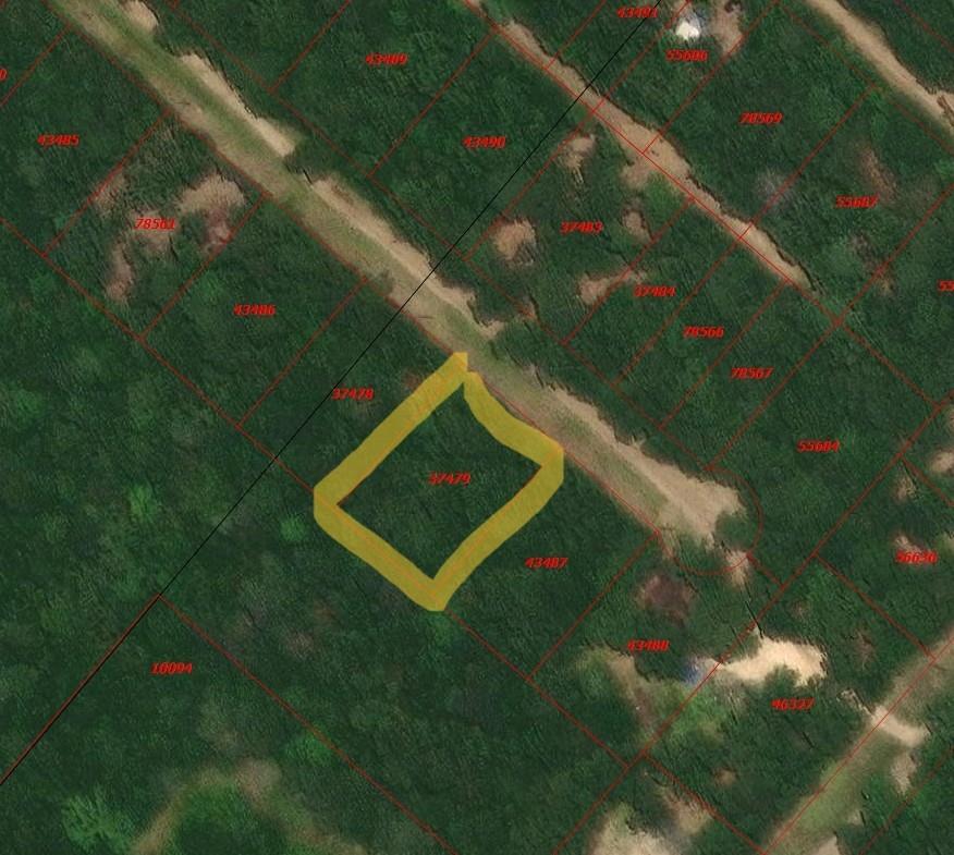Land in Livingston 2