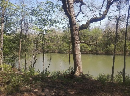 7891 Highway 70 S, Nashville, TN, 37221-1161 | Card Image