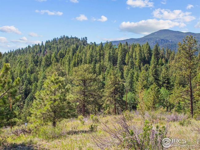 1375 Streamside Dr, Home with 0 bedrooms, 0 bathrooms and null parking in Glen Haven CO | Image 11