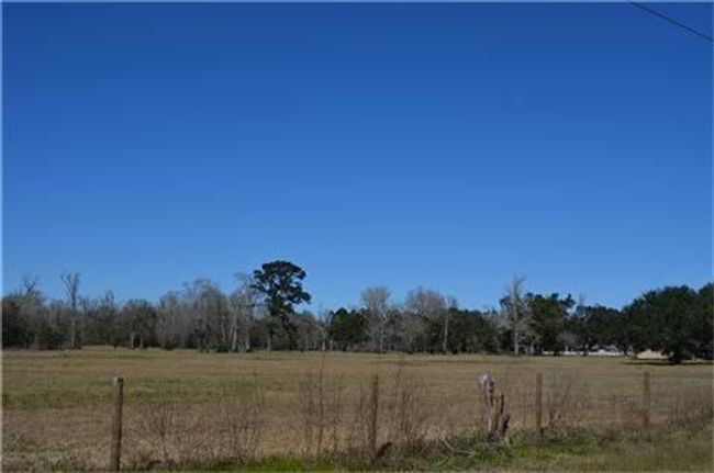 319 Wallace Rd, Home with 0 bedrooms, 3 bathrooms and 2 parking in Hankamer TX | Image 13