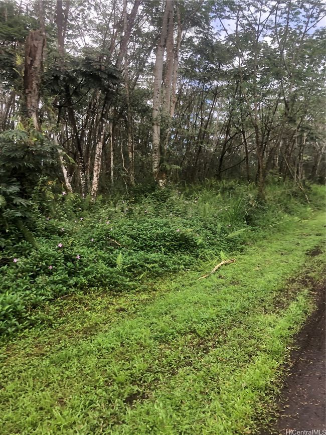 00 Pikake Rd, Home with 0 bedrooms, 0 bathrooms and null parking in Pahoa HI | Image 8