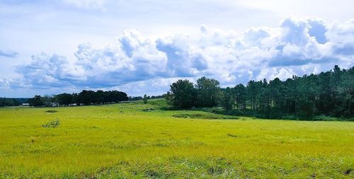 0 Hilltop Horizons Pl, Dade City, FL, 33523 | Card Image