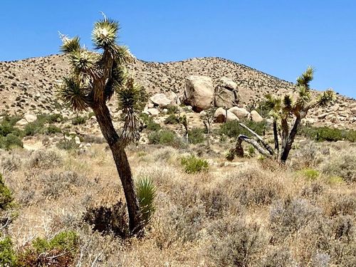 51001 Geronimo Trl, Pioneertown, CA, 92268 | Card Image