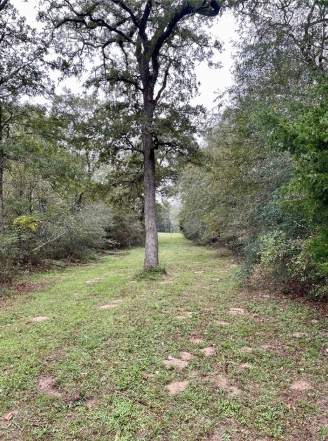 1073 Creekside Lane, Home with 0 bedrooms, 0 bathrooms and null parking in Lexington TX | Image 14