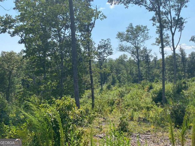 0 Woodstone Trail, Home with 0 bedrooms, 0 bathrooms and null parking in Ellijay GA | Image 14