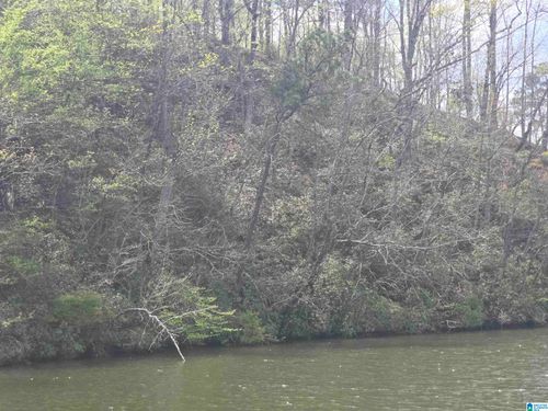 1-Lot 1 Eagle Mountain Road, ROCKFORD, AL, 35136 | Card Image
