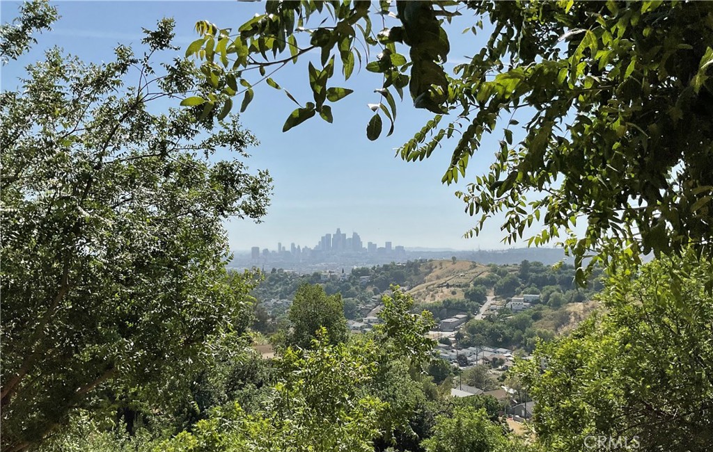 Land in Los Angeles