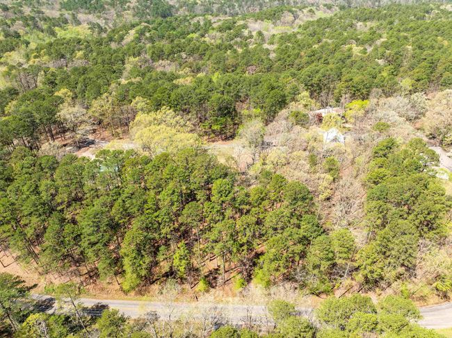 43 Memory Layne, House other with 4 bedrooms, 3 bathrooms and null parking in Mount Ida AR | Image 9