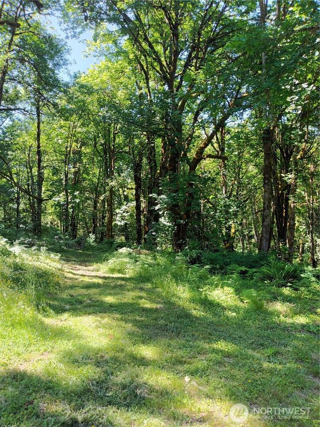 1053 Se Binns Swiger Loop Rd, Home with 0 bedrooms, 0 bathrooms and null parking in Shelton WA | Image 5