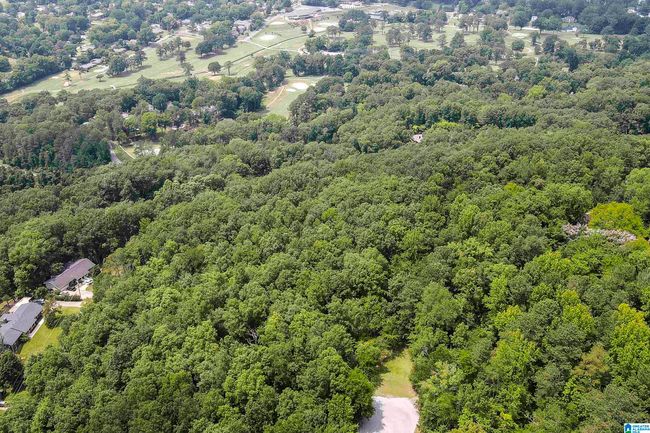 607-AC - 0 Rebecca Trl, Home with 0 bedrooms, 0 bathrooms and null parking in Anniston AL | Image 8