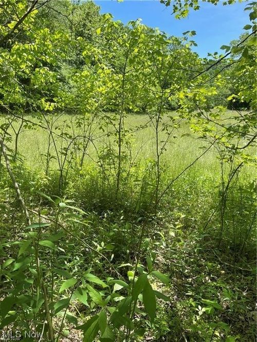 41180 Van Fossen Hollow Rd, Lower Salem, OH, 45745 | Card Image