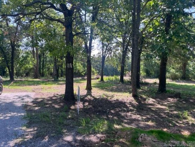 603 Alamo Dr, Home with 0 bedrooms, 0 bathrooms and null parking in Mountain View AR | Image 5