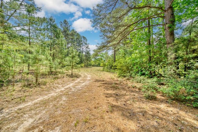 6733 Fm 1511, Home with 2 bedrooms, 2 bathrooms and null parking in Centerville TX | Image 37