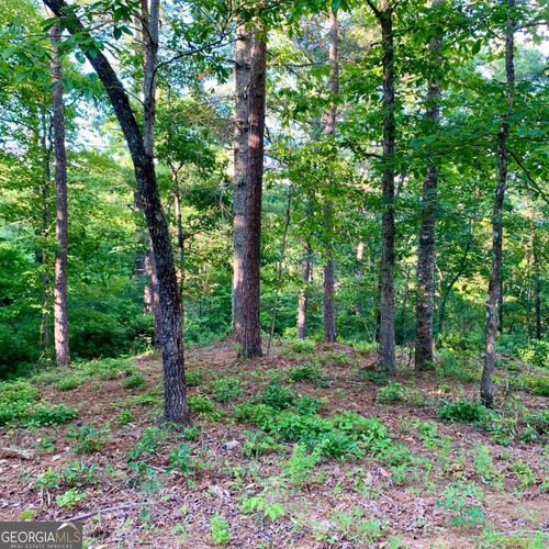 Lot 27 Solo View Dr, Warne, NC, 28909 | Card Image