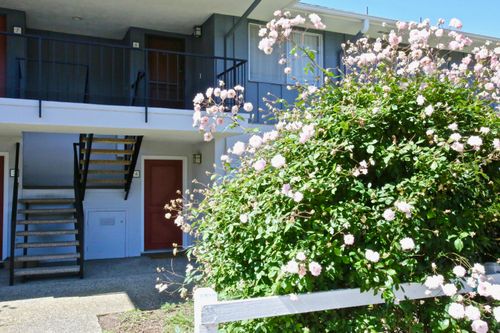 4-3639 San Remo Dr, SANTA BARBARA, CA, 93105-2569 | Card Image