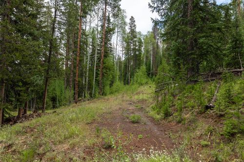 39455 Crows Nest Dr, Clark, CO, 80428 | Card Image