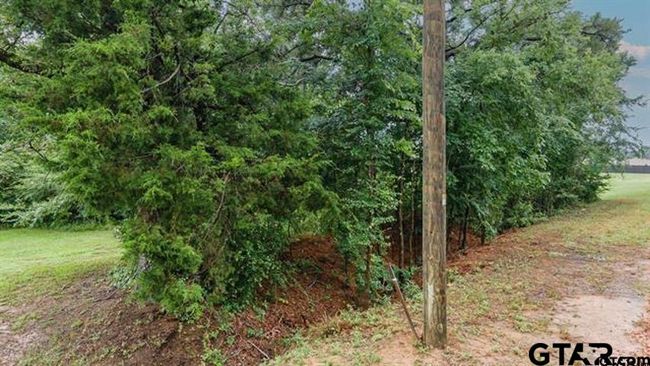 Lot 46 Pr 7011, Home with 0 bedrooms, 0 bathrooms and null parking in Frankston TX | Image 4