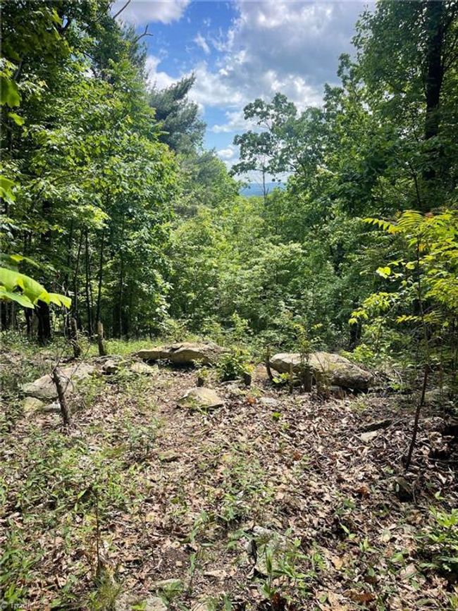 15 Dogwood Rd, Home with 0 bedrooms, 0 bathrooms and null parking in Moravian Falls NC | Image 14