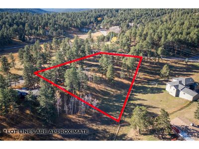 29999 Gigi Dr, Home with 0 bedrooms, 0 bathrooms and null parking in Evergreen CO | Image 1