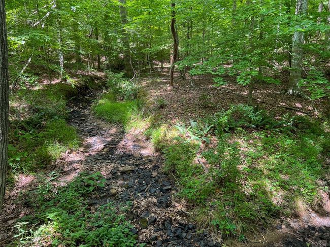 B - 00 Quarter Round Rd, Home with 0 bedrooms, 0 bathrooms and null parking in pacolet SC | Image 4
