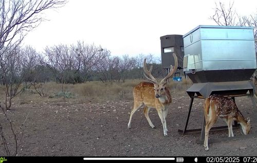 371 Axis Ct, Melvin, TX, 76858-2260 | Card Image